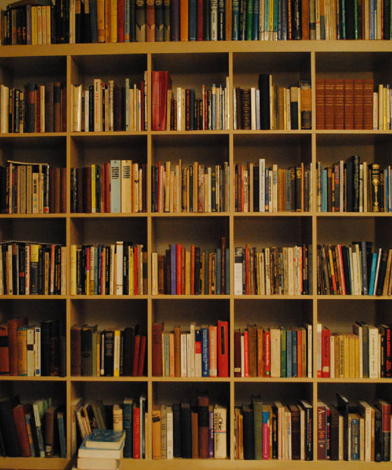 Bookshelves.jpg